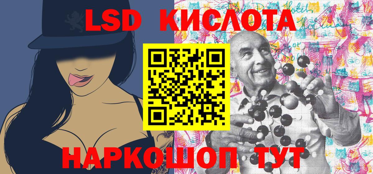 Псилоцибиновые грибы Владивосток