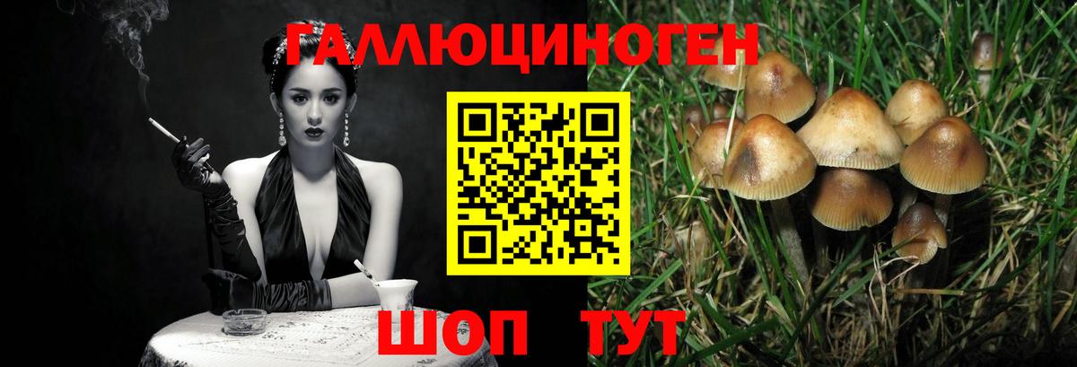Владивосток  купить наркотики сайты  Вход с VPN  Псилоцибиновые грибы прущие грибы 
